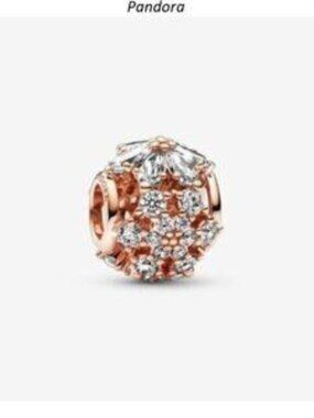 Pandora Rose Gold and Silver Bracelet Charm